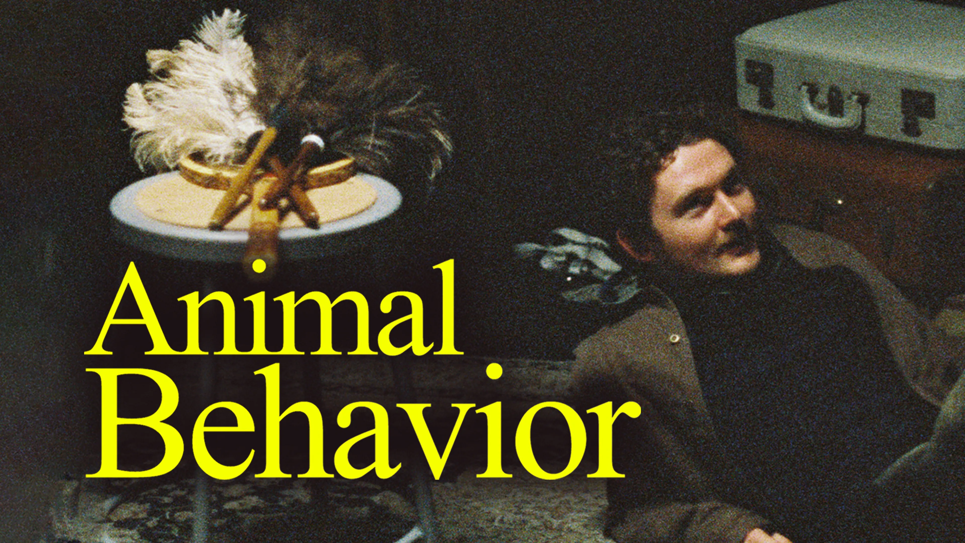 Animal Behavior poster